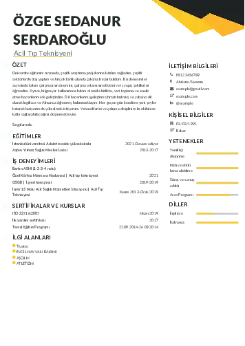Acil Tıp Teknisyeni CV Örnekleri cv indir